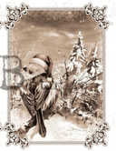 A4 Winter Birds SEPIA Rice Paper, AB Studios 2053 - Decoupage Central