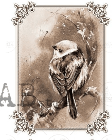 A4 Winter Birds SEPIA Rice Paper, AB Studios 2053 - Decoupage Central