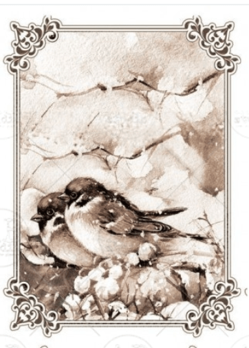 A4 Winter Birds SEPIA Rice Paper, AB Studios 2053 - Decoupage Central