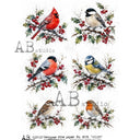 A4 Winter Garden Birds AB Studios Rice Paper 8091 - Decoupage Central