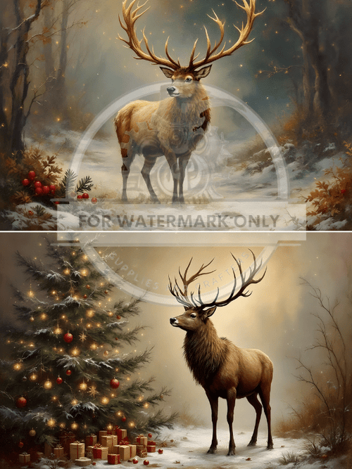 A4 Winter Majesty Duo Rice Paper DC808 - Decoupage Central