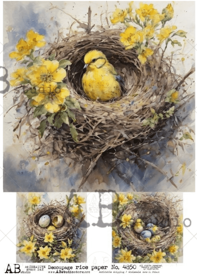 A4 Yellow Birds in Nest Rice Paper 4850 - Decoupage Central
