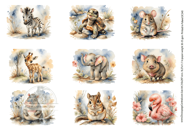 A4 Zoo Babies Rice Paper DC345 - Decoupage Central