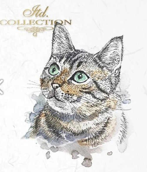 Cat and Dog, ITD Mini Decoupage Set: 5.8 inch/6 pages - Decoupage Central