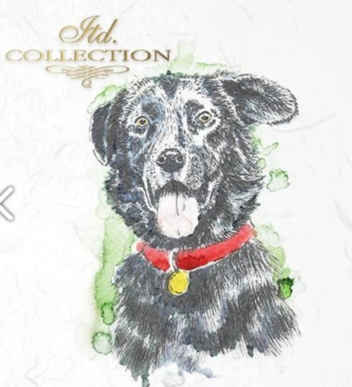 Cat and Dog, ITD Mini Decoupage Set: 5.8 inch/6 pages - Decoupage Central