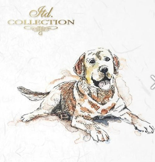 Cat and Dog, ITD Mini Decoupage Set: 5.8 inch/6 pages - Decoupage Central