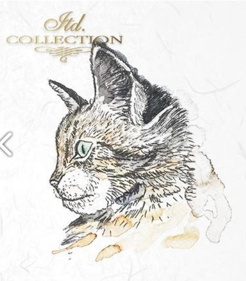 Cat and Dog, ITD Mini Decoupage Set: 5.8 inch/6 pages - Decoupage Central