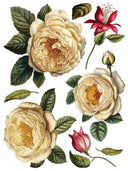 COLLAGE DE FLEURS , Rub on Transfer 12" x16" Pad, 8 pages - Decoupage Central