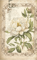Cream Cottage Floral Duo Rice Paper AB Studios ID74 - Decoupage Central