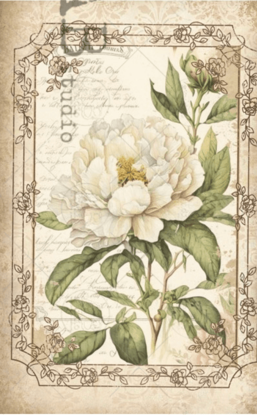 Cream Cottage Floral Duo Rice Paper AB Studios ID74 - Decoupage Central