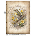 A4 Vintage Bird on Lace AB Studios 7512