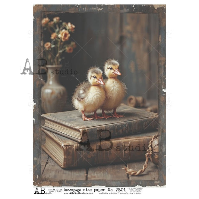 A4 Storybook Ducklings AB Studios 7601
