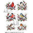 A4 Winter Garden Birds AB Studios Rice Paper 8091