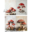 A4 AB 8174 Rustic Red Toadstools Quad