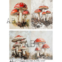 A4 AB 8176 Woodland Mushroom Quartet
