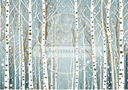 DIGITAL IMAGE: Birch - Decoupage Central
