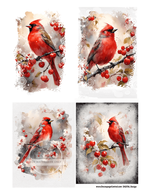 DIGITAL IMAGE: Cardinal Quad Instant Download - Decoupage Central