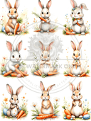 DIGITAL IMAGE: Carrot Time - Decoupage Central