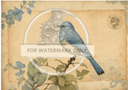 DIGITAL IMAGE: Carte Postale Bluebird - Decoupage Central