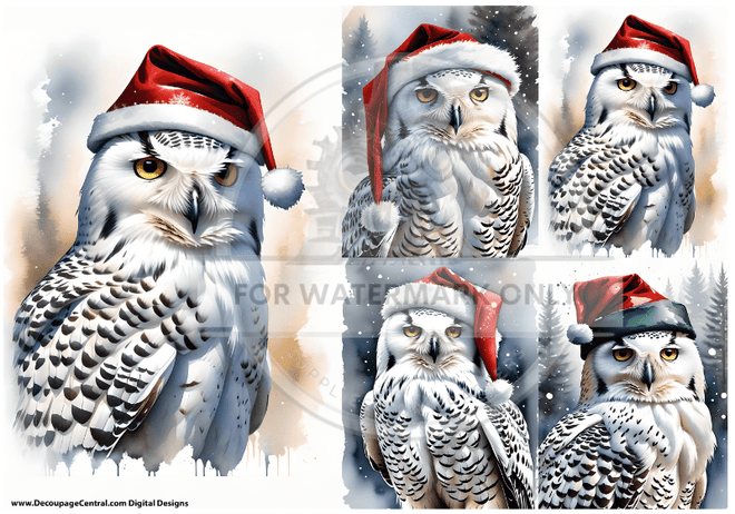 DIGITAL IMAGE: Christmas Owl Quad. Instant Download - Decoupage Central