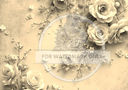 DIGITAL IMAGE: Cream Rose Background - Decoupage Central