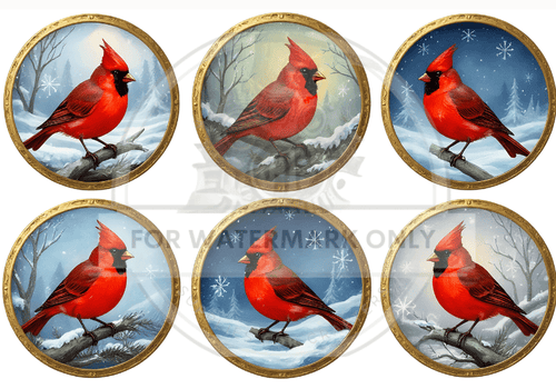 DIGITAL IMAGE: Digital Cardinal Circles - Decoupage Central
