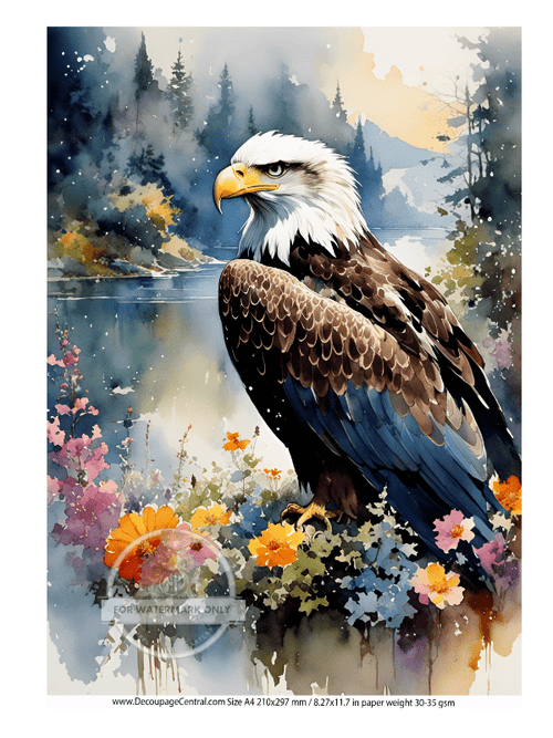 DIGITAL IMAGE: Eagle Instant Download - Decoupage Central