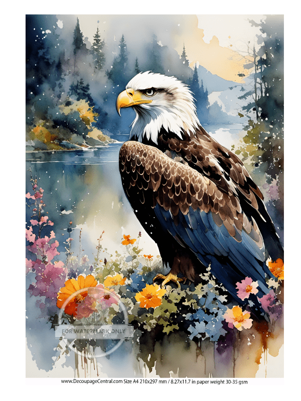 DIGITAL IMAGE: Eagle Instant Download - Decoupage Central