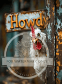DIGITAL IMAGE: Howdy Hen - Decoupage Central