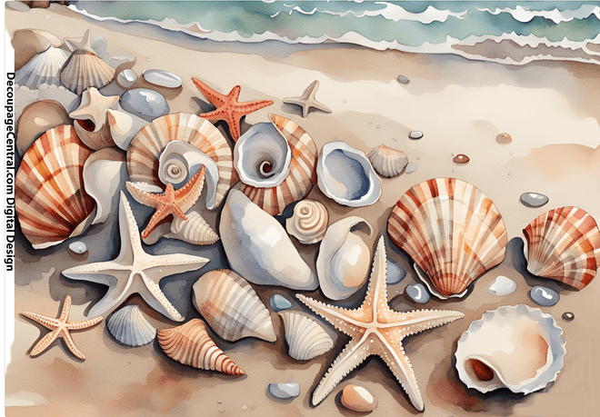 DIGITAL IMAGE: Seashells Instant Download - Decoupage Central