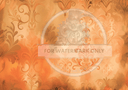 DIGITAL IMAGE SET : BUSTED The Halloween Cat Set (2 pages including a main design/ background) - Decoupage Central