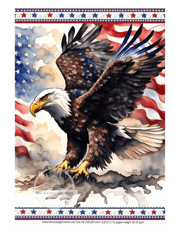 DIGITAL IMAGE: Star Eagle Instant Download - Decoupage Central