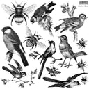 IOD Birds and Bees, Stamp Collection 12"x 12" - Decoupage Central