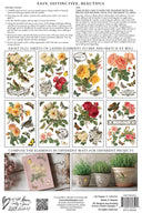 IOD By Any Other Name Transfer , Rub on Transfer 12" x 8" Pad - Decoupage Central
