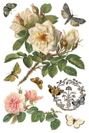 IOD By Any Other Name Transfer , Rub on Transfer 12" x 8" Pad - Decoupage Central