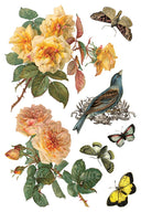 IOD By Any Other Name Transfer , Rub on Transfer 12" x 8" Pad - Decoupage Central