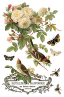 IOD By Any Other Name Transfer , Rub on Transfer 12" x 8" Pad - Decoupage Central