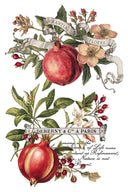 IOD Clementine Transfer , Rub on Transfer 12" x 8" Pad. - Decoupage Central