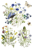 IOD Flora Greco Transfer , Rub on Transfer 12" x 8" Pad - Decoupage Central