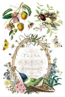 IOD Flora Greco Transfer , Rub on Transfer 12" x 8" Pad - Decoupage Central