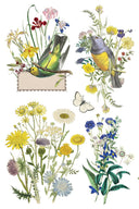 IOD Flora Greco Transfer , Rub on Transfer 12" x 8" Pad - Decoupage Central