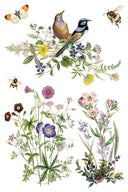 IOD Flora Greco Transfer , Rub on Transfer 12" x 8" Pad - Decoupage Central
