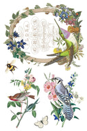 IOD Flora Greco Transfer , Rub on Transfer 12" x 8" Pad - Decoupage Central
