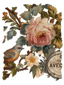 IOD JOIE DES ROSES, Rub on Transfer 12" x16" Pad, 8 pages - Decoupage Central