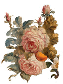 IOD JOIE DES ROSES, Rub on Transfer 12" x16" Pad, 8 pages - Decoupage Central