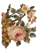 IOD JOIE DES ROSES, Rub on Transfer 12" x16" Pad, 8 pages - Decoupage Central