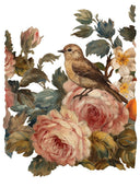 IOD JOIE DES ROSES, Rub on Transfer 12" x16" Pad, 8 pages - Decoupage Central