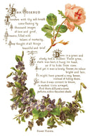 IOD LOVER OF FLOWERS, Rub on Transfer 12" x8" Pad. - Decoupage Central