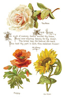 IOD LOVER OF FLOWERS, Rub on Transfer 12" x8" Pad. - Decoupage Central