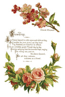 IOD LOVER OF FLOWERS, Rub on Transfer 12" x8" Pad. - Decoupage Central